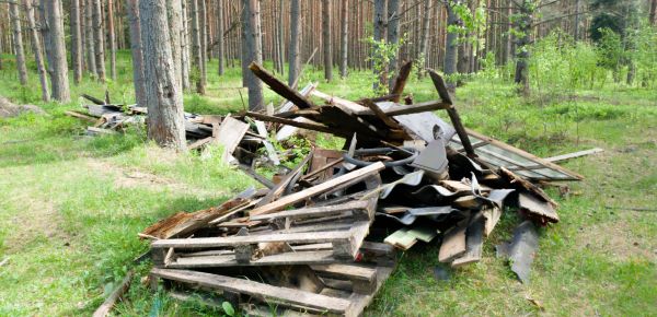 Debris Removal Service in Janesville