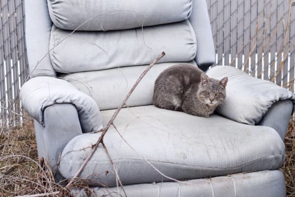 Recliner Disposal in Janesville